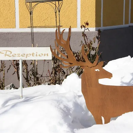 Zellersee 滨湖采尔